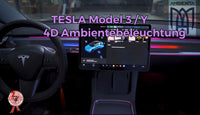 Tesla Model 3 / Model Y 3d version